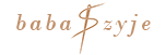 Shoper demo brak logo - strona główna